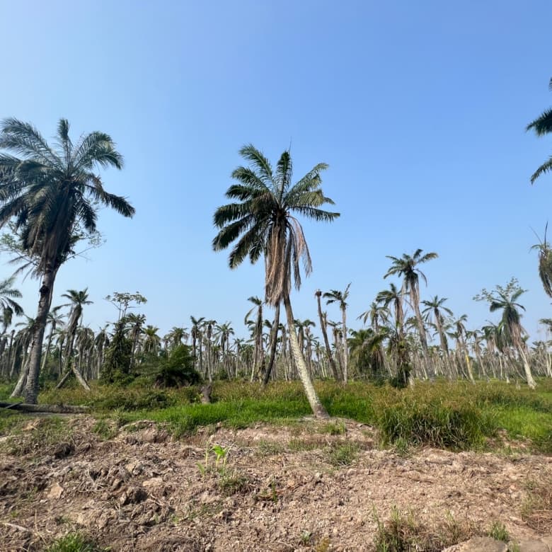 Industrial Land for Sale in Jenjarom, Kuala Langat, Selangor - 2